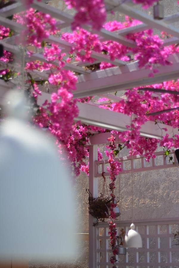 Villa Iokasti Hersonissos  Dış mekan fotoğraf